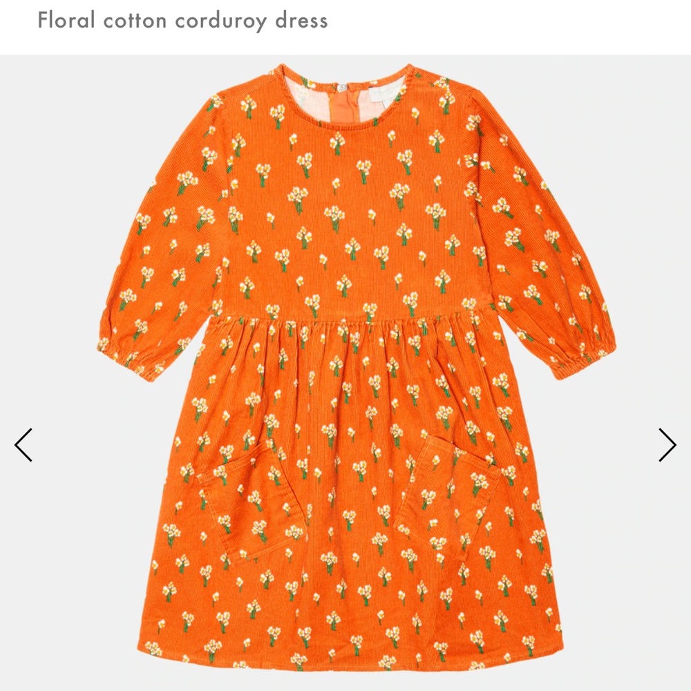 Stella McCartney Orange Floral Dress